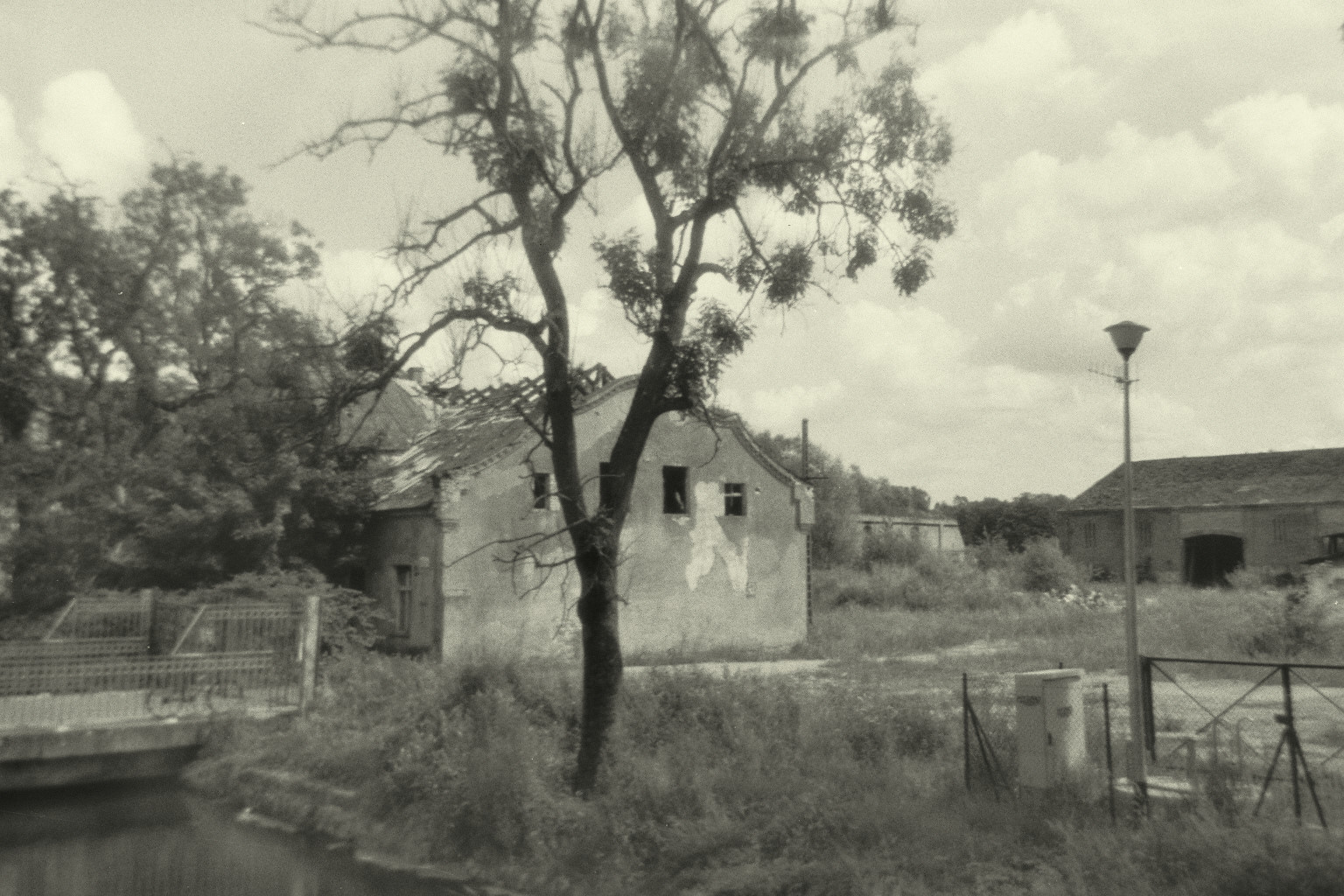 ../Images/Image026_N262 (30).jpg